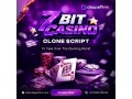 dominate-the-digital-gambling-arena-with-a-custom-7bit-casino-clone-script-small-0