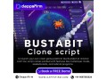 bustabit-like-crash-gaming-platform-development-made-simple-with-clone-script-small-0