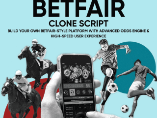 How to Build Your Own Sports Betting Exchange Like Betfair Successfully?