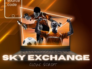 Grow Your Gaming Business with a Scalable SkyExchange Clone Script