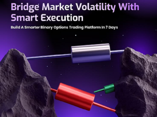 Is Binary Option Trading Platform Development Profitable for Entrepreneurs?