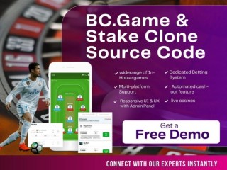 Go Crypto-Profit Mode with Our BC.Game & Stake Clone Source Code Today