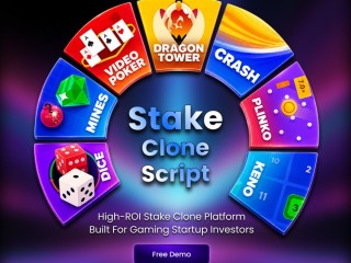 Premium Stake Clone Software for Online Gaming Entrepreneurs