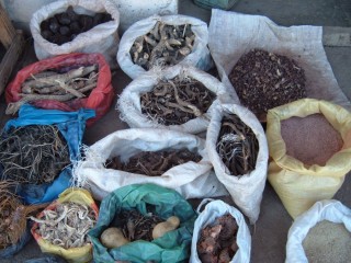 Centurion -Best Traditional Healers Sangoma For All +27735222291-Cape Town Carletonville Ceres Christiana Cradock