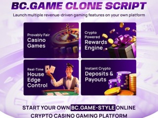 Bc game Clone Script - Your Shortcut to Launch a High-Performance Crypto Casino