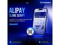 alipay-clone-script-for-multi-network-crypto-processing-small-0