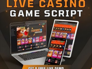 Craft an Immersive Casino Brand Experience Using Live Casino Game Script