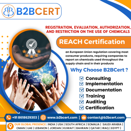 reach-certification-services-in-dallas-big-0